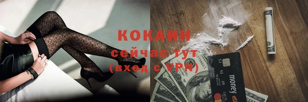 таблы Горняк