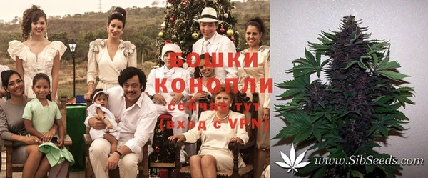 кокаин колумбия Горнозаводск