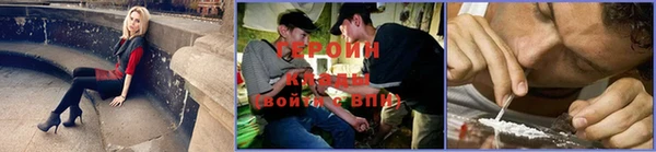 сатива Горно-Алтайск