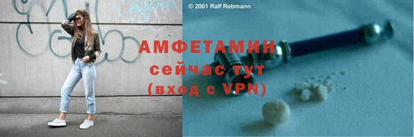 сатива Горно-Алтайск