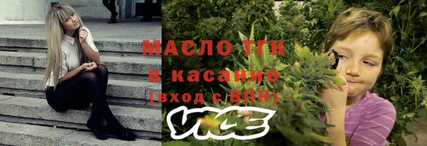 сатива Горно-Алтайск