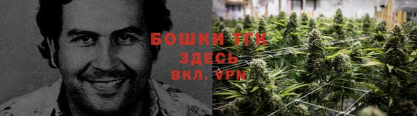 таблы Горняк