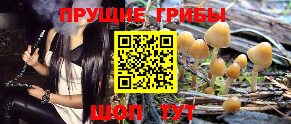 Псилоцибиновые грибы мицелий Балаково